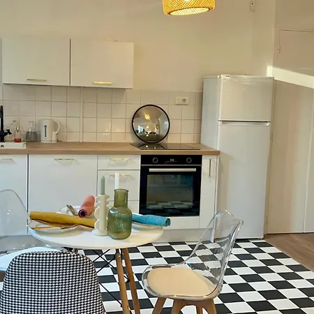 Rez-de-jardin Lumineux En Plein Centre De גרנובל