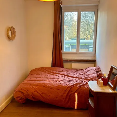 Rez-de-jardin Lumineux En Plein Centre De