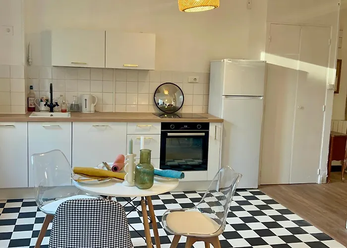 Rez-de-jardin Lumineux En Plein Centre De 格勒诺布尔