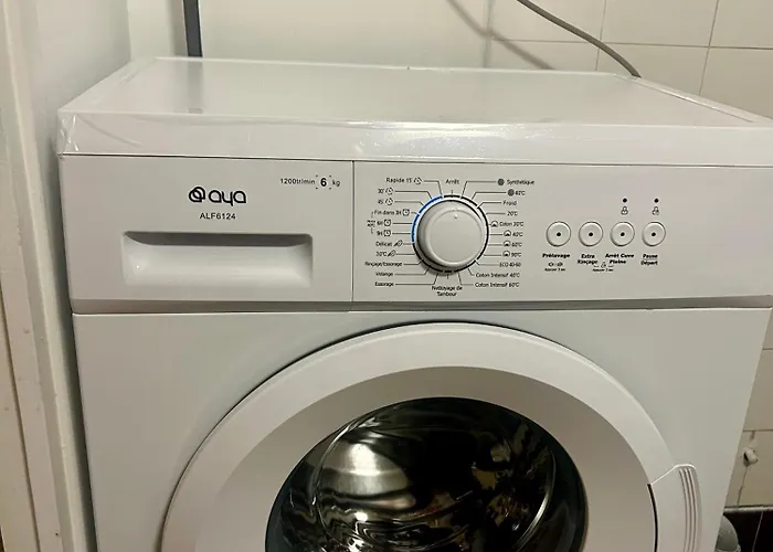 Rez-de-jardin Lumineux En Plein Centre De