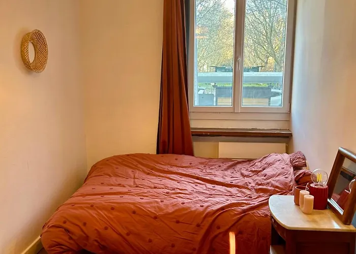 Rez-de-jardin Lumineux En Plein Centre De